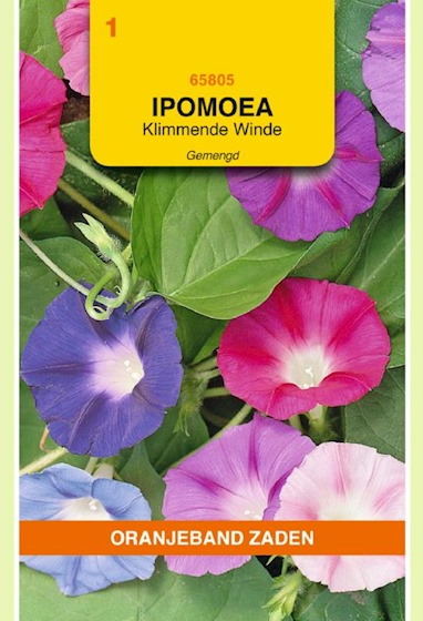 Morning Glory Mix (Ipomoea tricolor) 100 seeds OBZ